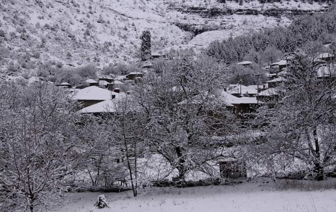 Xenonas Zagorisio Leilighet Tsepelovo Rom bilde